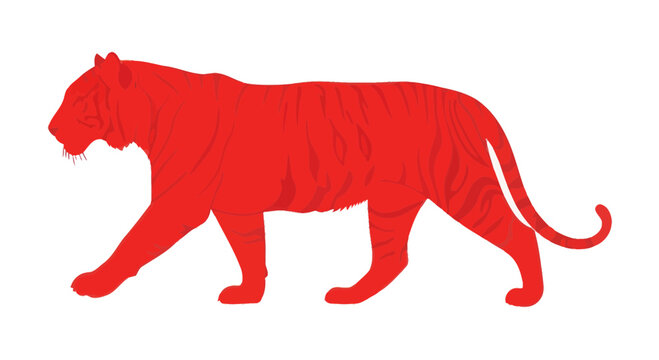 Vibrant Red Tiger Silhouette Walking Isolated on White Background