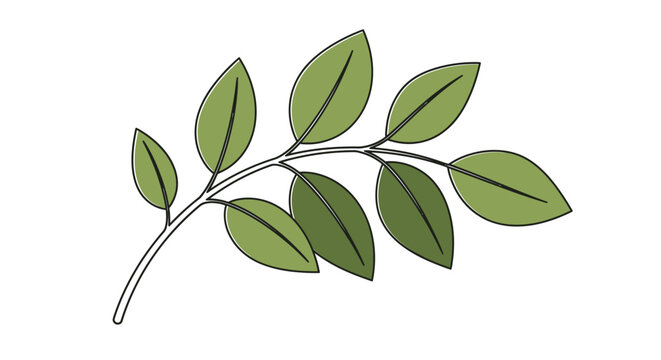Green leaves on a branch.