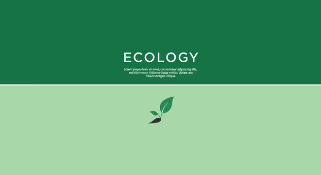 A minimalist presentation slide with the word "ECOLOGY" prominently displayed in white text on a dark green background, above a lighter green section featuring a small seedling.
