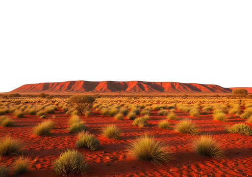 Redsand desert landscape with mountain and grassy shrubs isolated on transparent background transparent background
