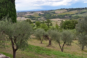 Obraz premium Camprena, il panorama sulle colline del senese dal Monastero di Sant'Anna in Camprena, Siena, Val d'Orcia, Toscana