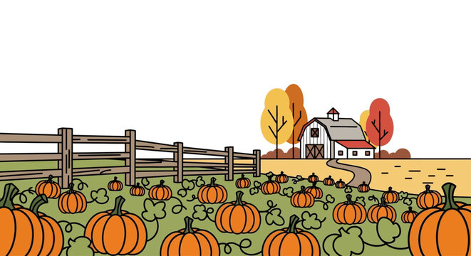 Many pumpkins in a field.