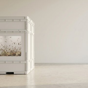 Larvae farming in industrial containers for sustainable protein production
