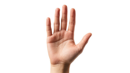 Fototapeta premium Human hand palm raised gesture against plain surface