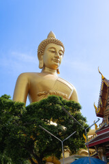 Obraz premium Long tail boat in Klong Bang Luang in Bangkok, Thailand in a summer day