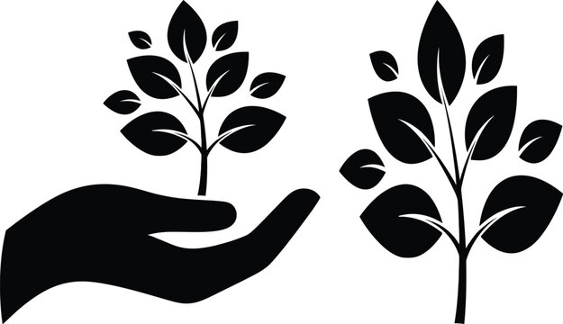 Protecting new growth a hand gently holds a sapling with another beside it