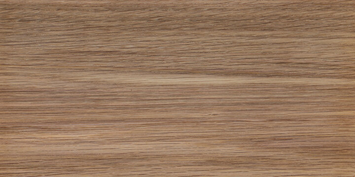 White oak wood panel texture background. Simple oak texture. wood texture background.