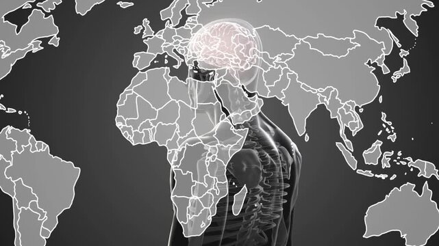 Anatomy model receiving blue arc from upper-left, rotating as world map overlaying revealing brain