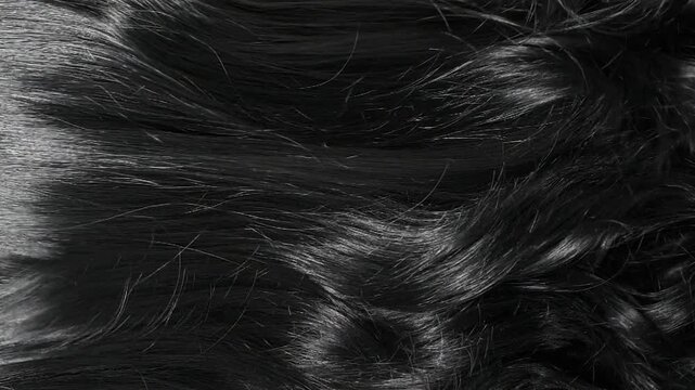 Closeup beautiful female black long curly hair texture background in slow motion
