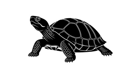 Naklejka premium Turtle, black, illustration, vector, graphic, reptile, animal, wildlife