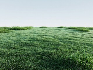 Obraz premium Green Lawn Meadow Background, Realistic Tranquil Summer Nature