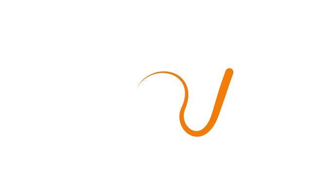 Animated orange drop of liquid moving. Fluid effect. Looped video. Vector illustration isolated on white background. 