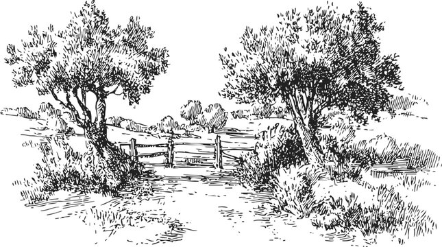 Rustic countryside landscape with trees and wooden gate, hand drawn vintage ink sketch illustration