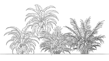 Detailed 2D AutoCAD drawing of tropical palm trees in a landscape © Stock Image Paradise