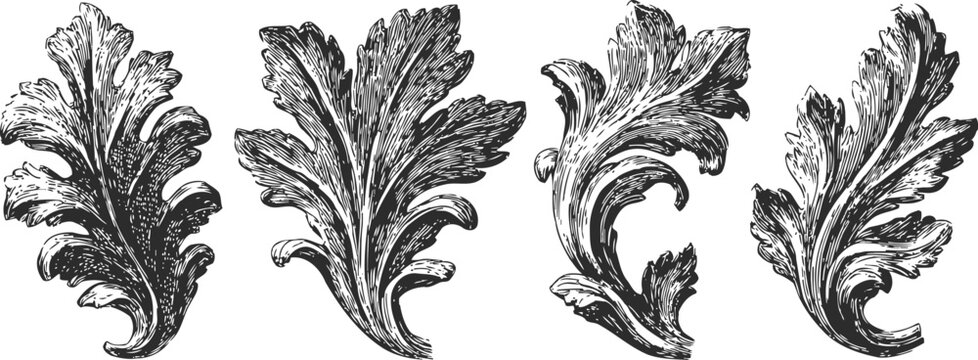 Vintage ornamental acanthus leaves set hand drawn baroque floral decorative elements for design and engraving