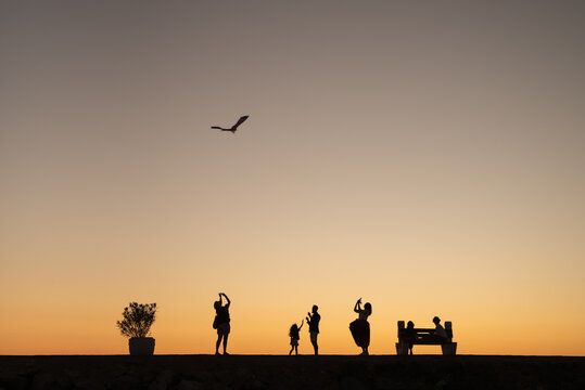 People silhouettes watching bird at sunset sky
