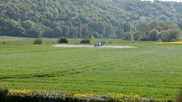 Un tracteur pulv&eacute;rise des produits phytosanitaires dans un champs