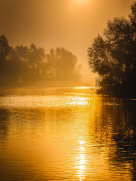 Serene river landscape at golden hour with calm water reflecting warm sunlight and silhouettes of trees in misty atmosphere