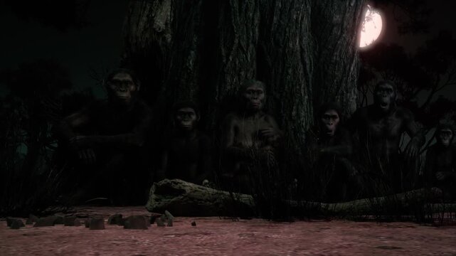 First Steps of Evolution: CGI Silhouette of an Australopithecus Under Golden Sunbeams