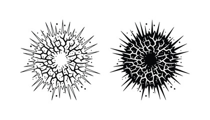 Explosion or burst effect icon in outline and solid black for dramatic visual impact © Digital