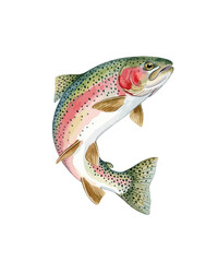 Watercolor rainbow trout illustration, jumping freshwater fish with colorful scales, vintage style trout art for fly fishing and outdoor sports design © Dreamy Art