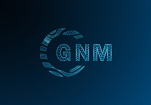 GNM low poly letter logo vector design. GNM lower poly logo design. GNM unique low poly logo design.