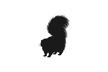 Fototapeta premium Silhouette of a skunk with a fluffy tail standing isolated on white
