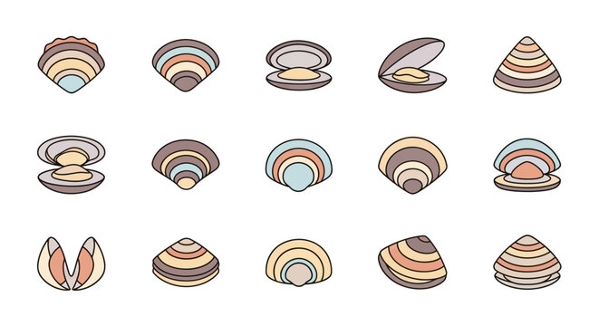Stylized clam shell illustrations in various positions and color tones