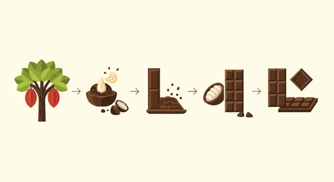 Cocoa bean to chocolate bar production process illustration.