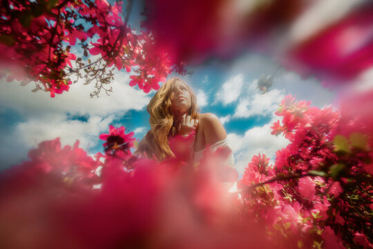 Woman Looking up through pink flowers with cloudy blue sky