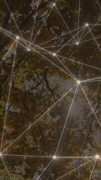 Vertical video: Glowing mesh shifting above canopy, nodes pulsing as sun aligns creating glare