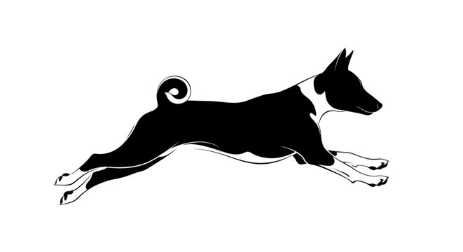 Black and white illustration of a running basenji dog with curly tail