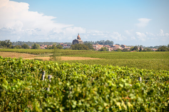 Eauze vue depuis les vignes d'Armagnac, Gers