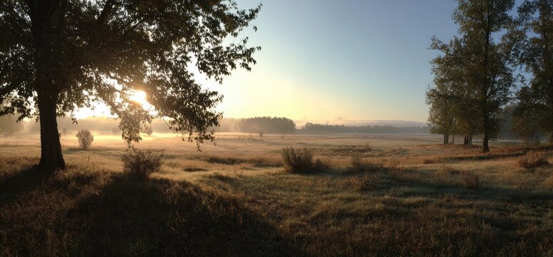 Misty meadow at sunrise with sunbeams piercing through trees