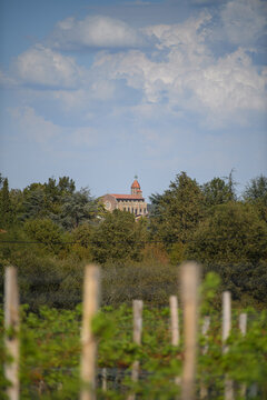 Eauze vue depuis les vignes d'Armagnac, Gers