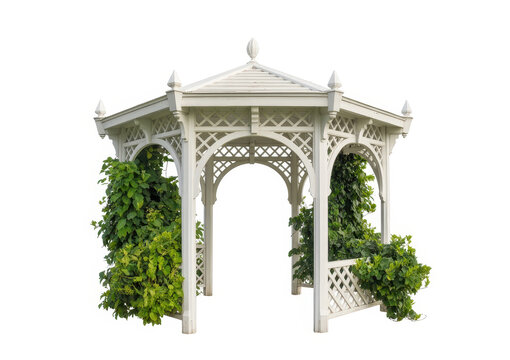 White wooden garden gazebo decorated with lush green climbing vines isolated on white