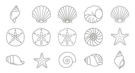 Outlined seashell collection featuring diverse shapes and designs on a white background © Kali
