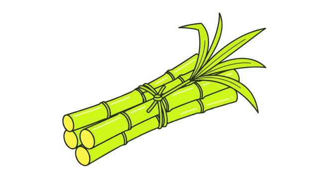 Fresh Green Sugarcane Stalks Tied Together with Leaves