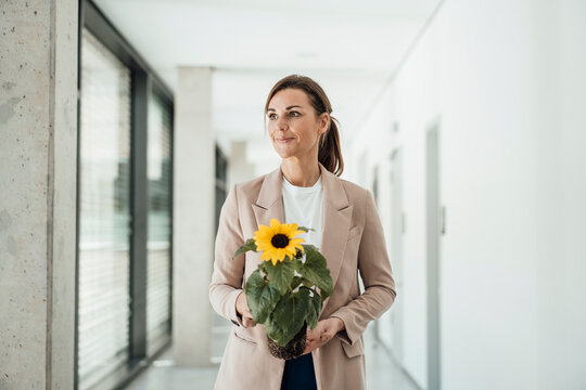 Smiling businesswoman holding flower pot at office