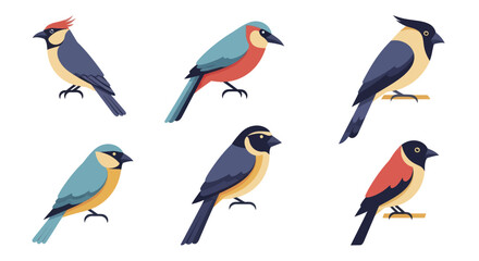 Collection of six colorful small birds perched on a white background. © Enggal