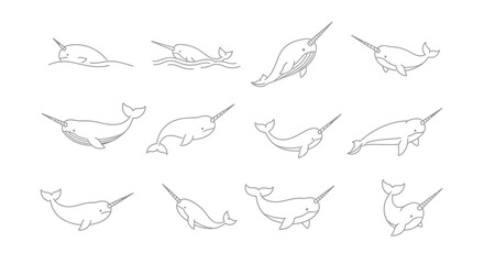 Stylized narwhal illustrations in various poses on white background © Kali