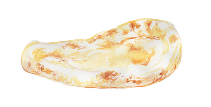 Watercolor illustration of naan on transparent background