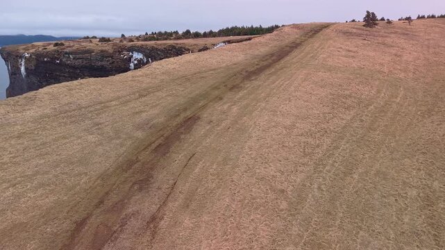Drone aerial of winding dirt track curving through golden coastal meadow with conifers and cliff edge visible at Bell Island Newfoundland