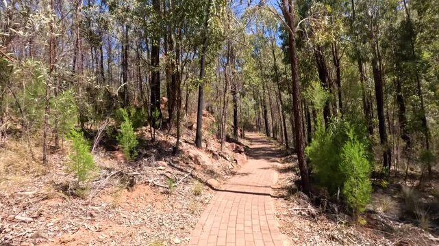 Camera following brick walking path through australian bushland during sunny day.