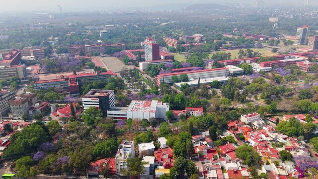Urban spring landscape of south Mexico City and blooming jacarandas from above