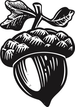 Acorn with textured cap and two leaves, detailed natural tree nut illustration in black and white