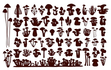 Fototapeta premium A set of silhouettes of forest mushrooms. 