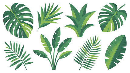 Fototapeta premium Collection of various tropical green leaves and exotic foliage isolated on white background