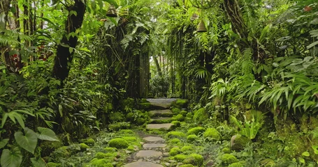 Fotobehang Bospad Mossy stepping stones winding through a lush green tropical jungle garden in Bali, creating a serene and peaceful pathway surrounded by dense foliage and natural arch window. Nature background  © Goinyk