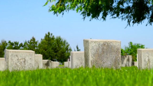 Military cemetery with rows of white tomb stones on green grass lawn